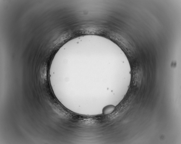 X0000098020310200804181209