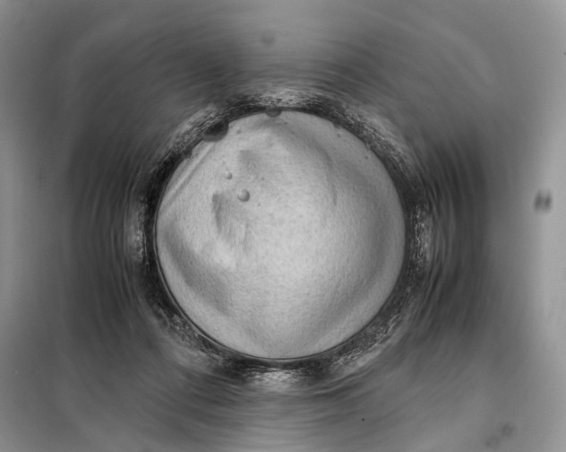 X0000098020312200804181209