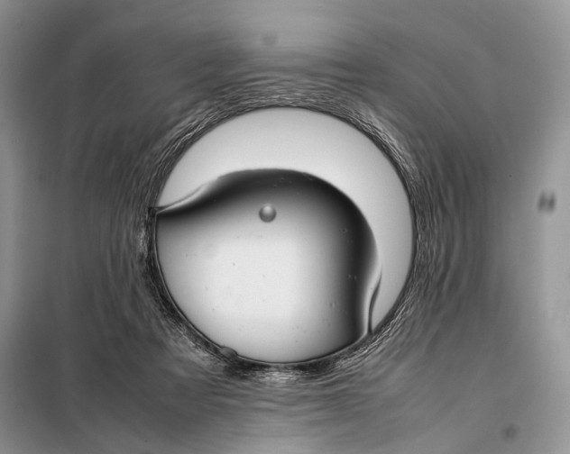 X0000098020313200804181209