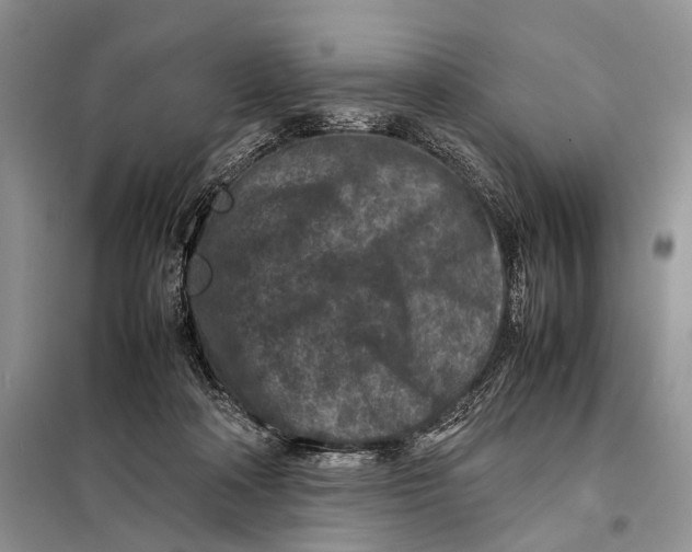 X0000098020314200804181209