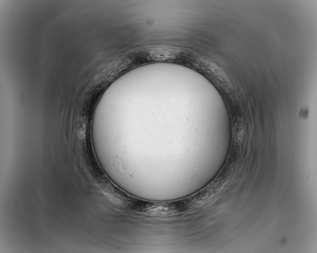 X0000098020315200804181209