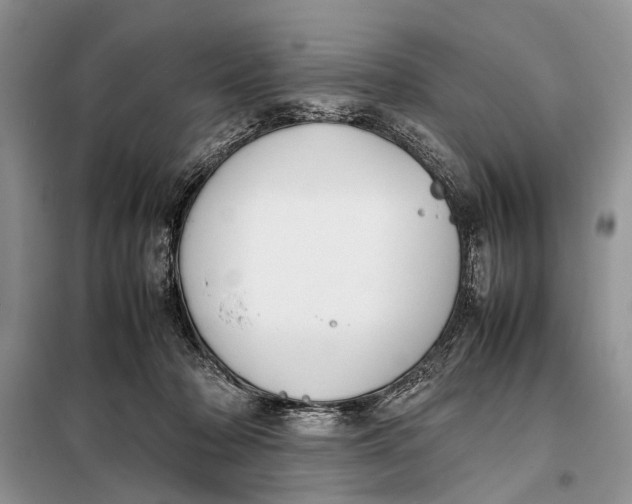 X0000098020318200804181209