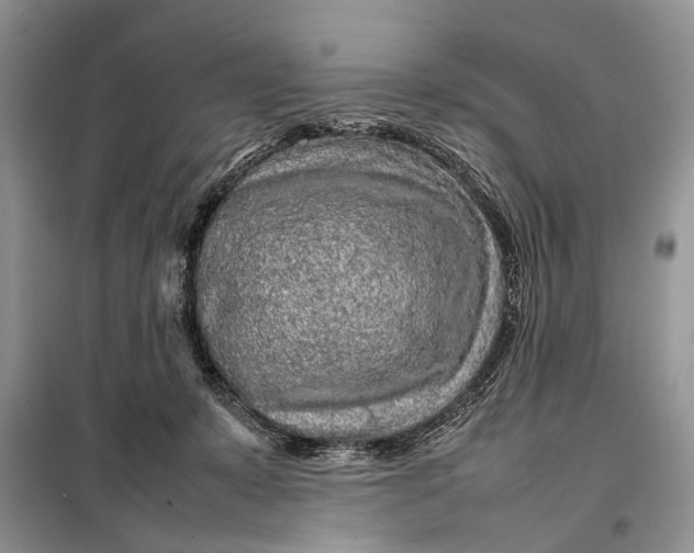 X0000098020319200804181209
