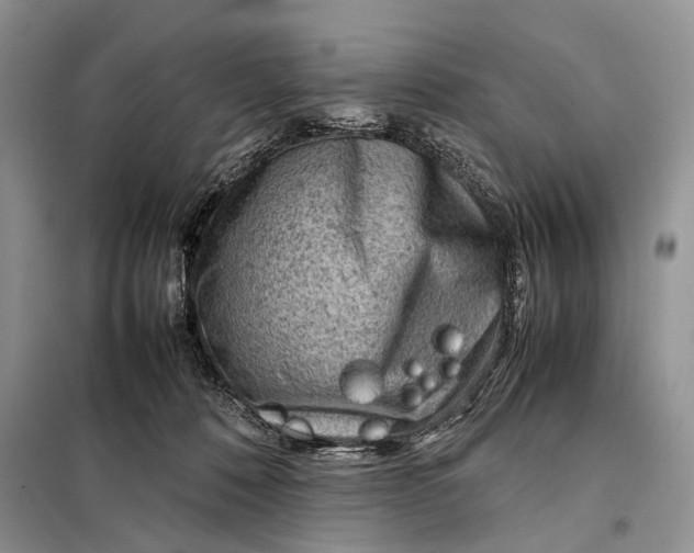 X0000098020320200804181209