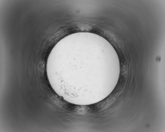X0000098020321200804181209