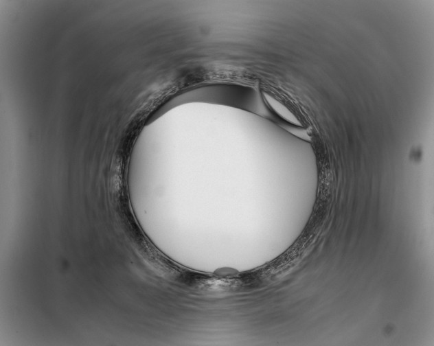 X0000098020323200804181209