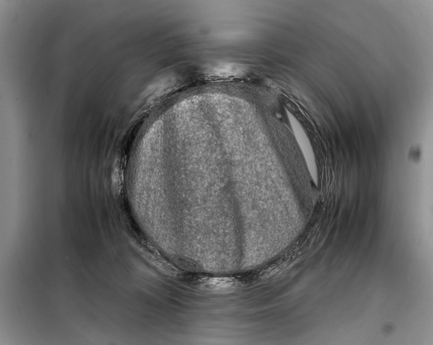 X0000098020324200804181209