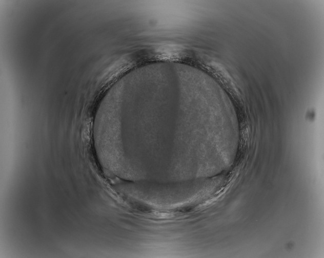 X0000098020325200804181209