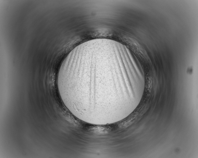 X0000098020326200804181209