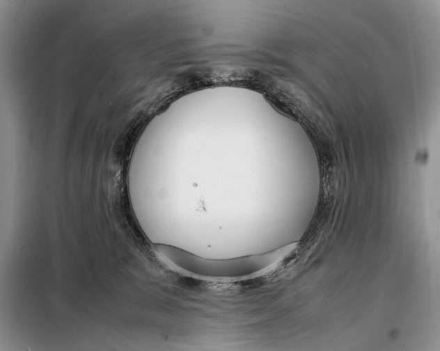 X0000098020327200804181209