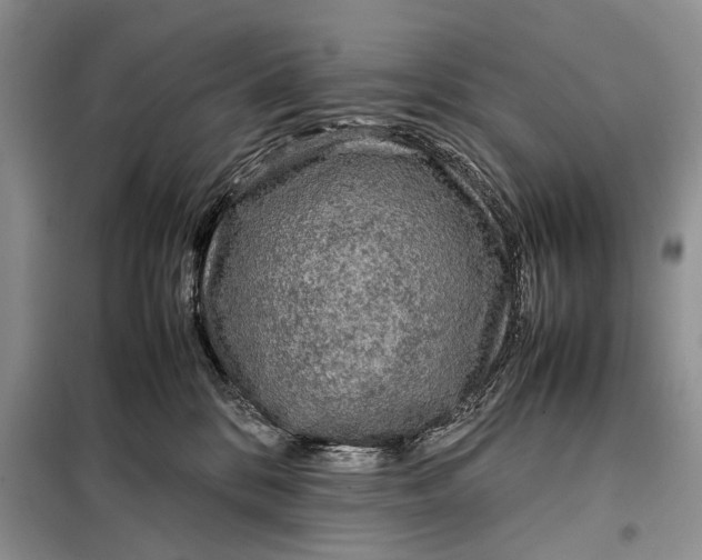 X0000098020328200804181209