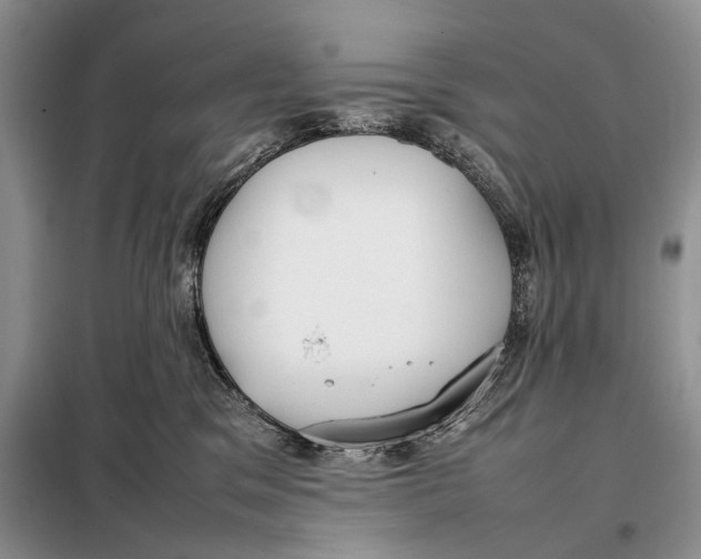 X0000098020329200804181209