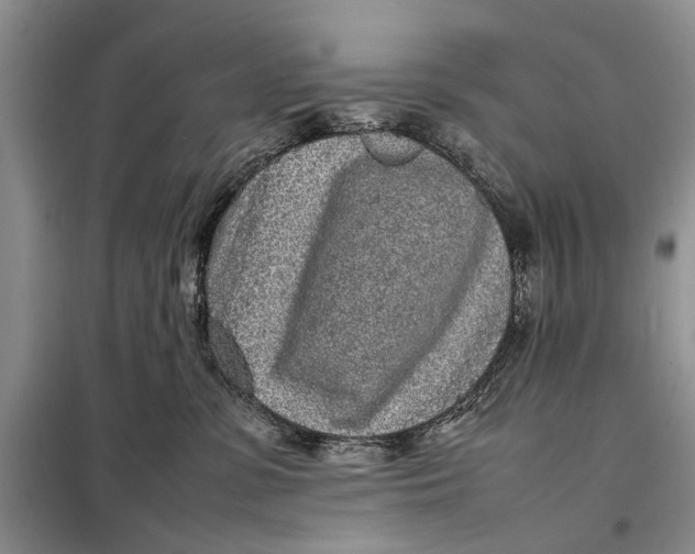 X0000098020331200804181209