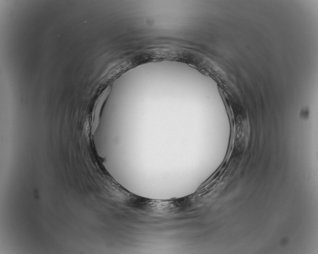 X0000098020333200804181209
