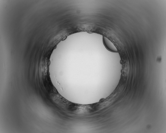 X0000098020334200804181209