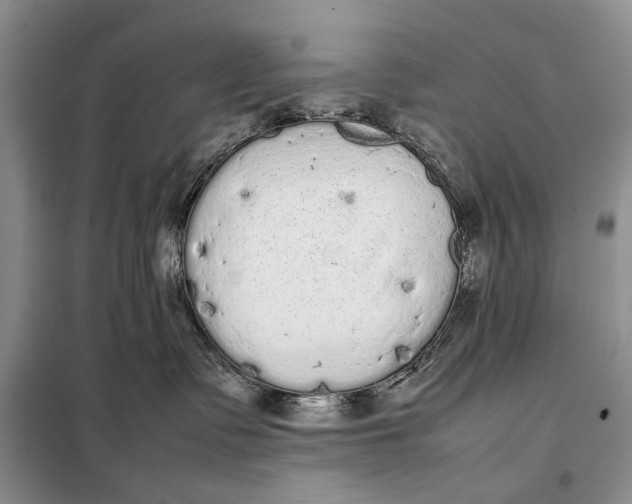 X0000098020335200804181209