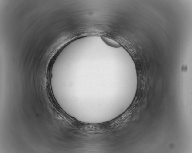 X0000098020338200804181208