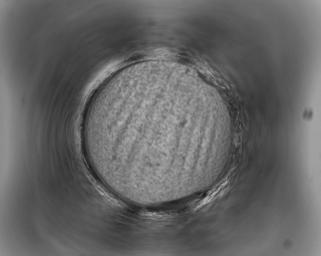 X0000098020341200804181208