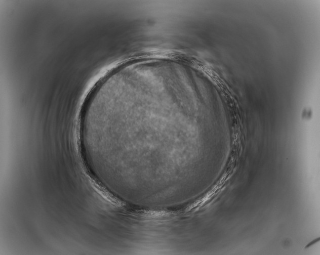 X0000098020342200804181208