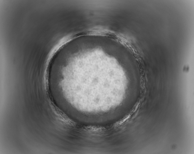 X0000098020343200804181208