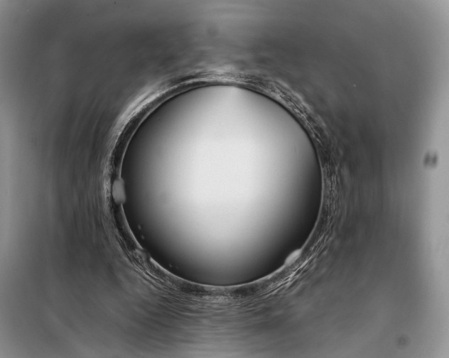 X0000098020344200804181208