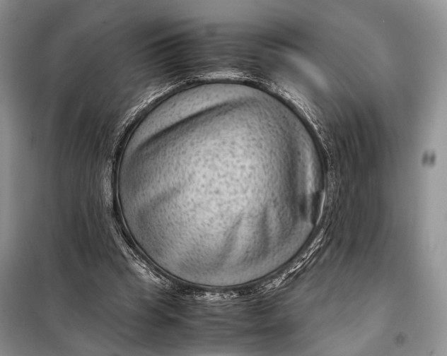 X0000098020345200804181208