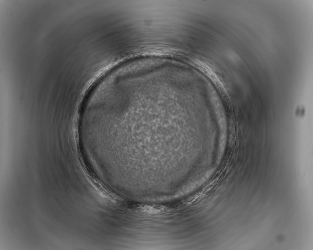 X0000098020346200804181208