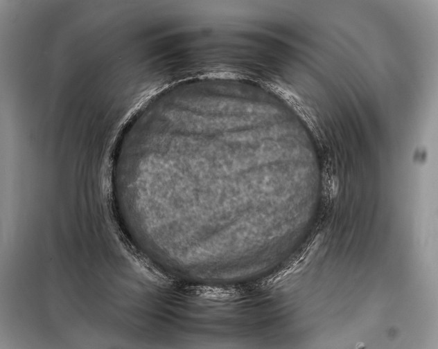 X0000098020347200804181208
