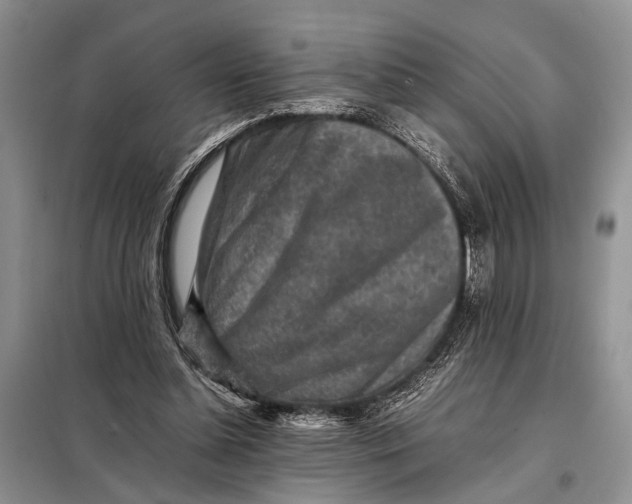 X0000098020348200804181208