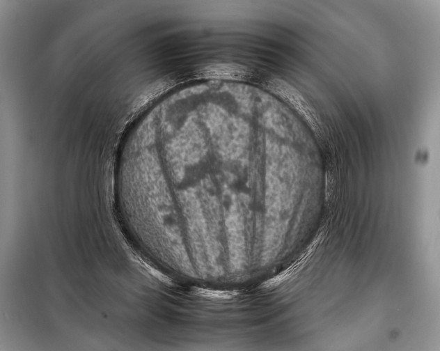 X0000098020349200804181208