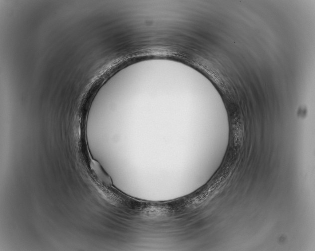 X0000098020350200804181208
