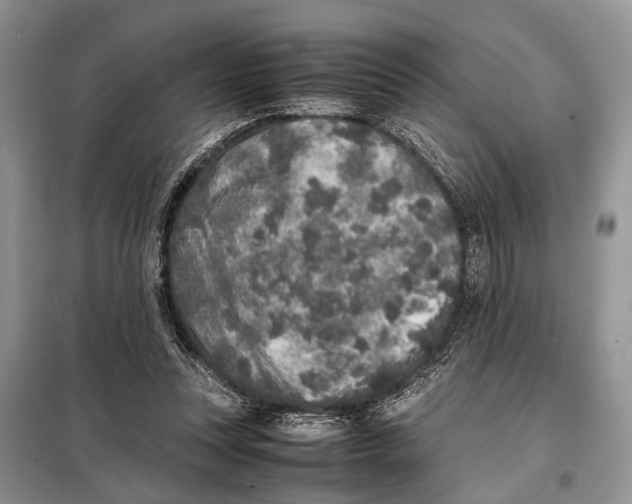 X0000098020351200804181208