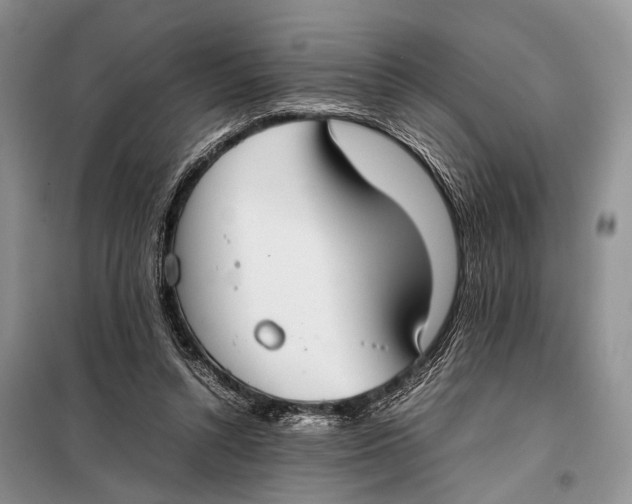 X0000098020352200804181208