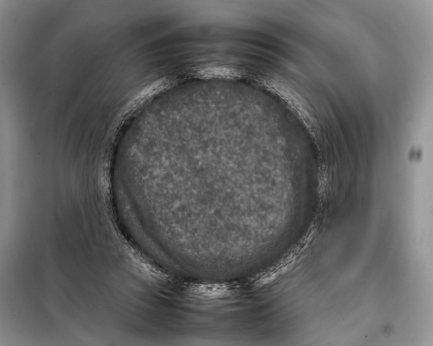 X0000098020353200804181208