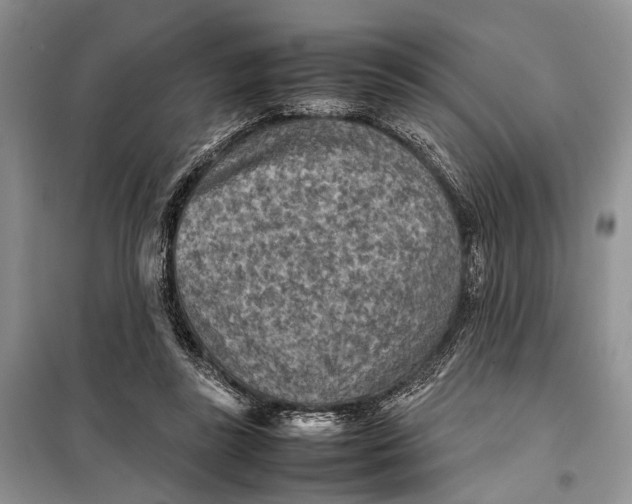 X0000098020355200804181208