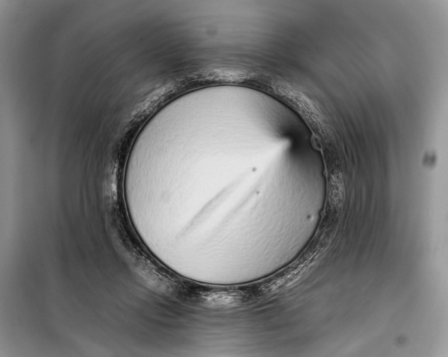 X0000098020358200804181208