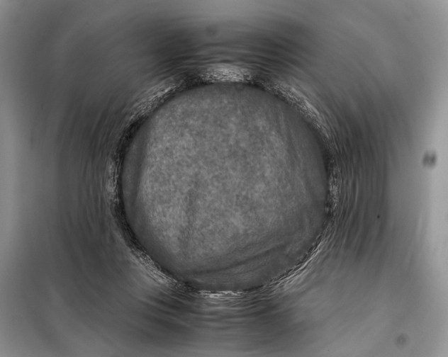 X0000098020359200804181208