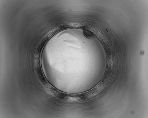 X0000098020360200804181208
