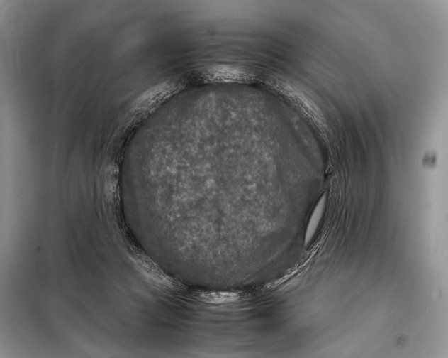 X0000098020361200804181208