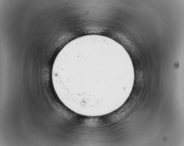 X0000098020362200804181208