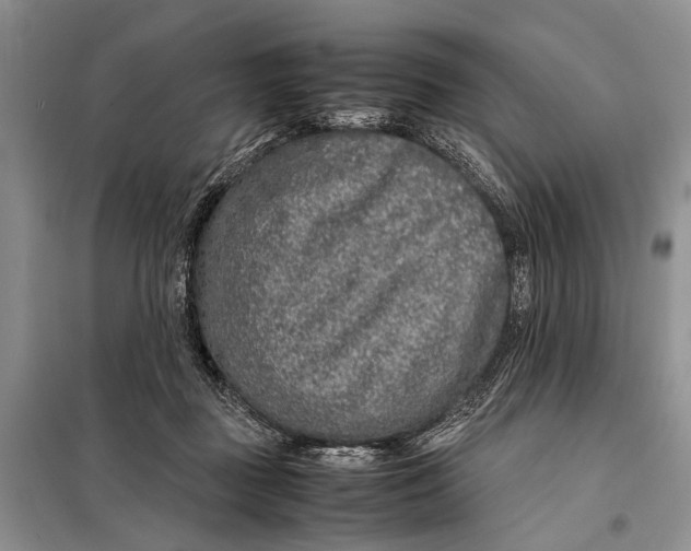 X0000098020363200804181208