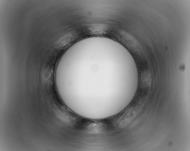 X0000098020364200804181208
