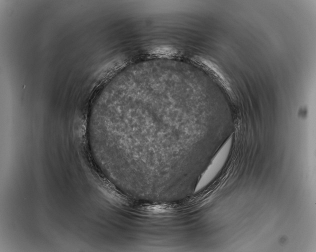 X0000098020365200804181208