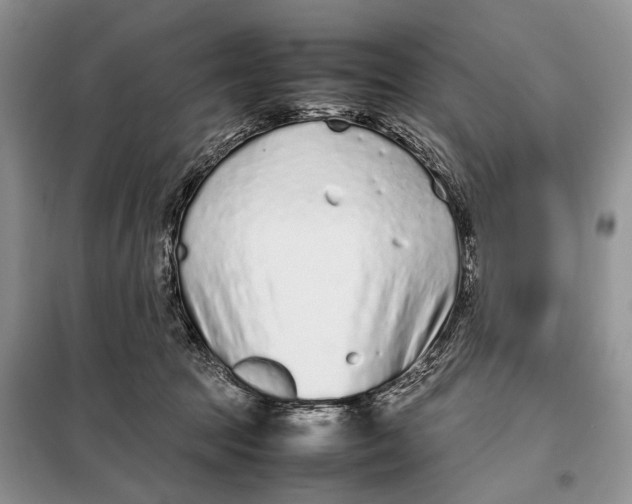 X0000098020369200804181208