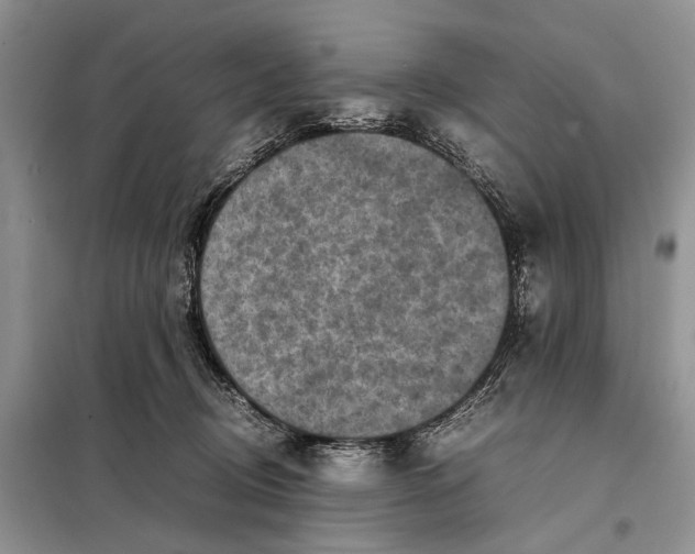 X0000098020370200804181208