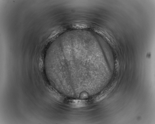 X0000098020371200804181208