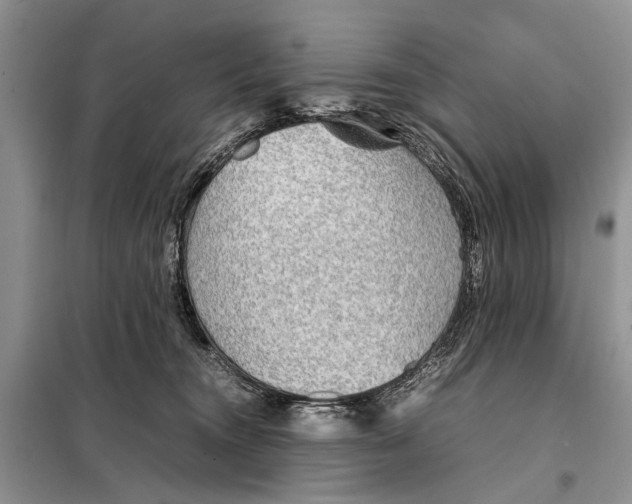 X0000098020372200804181208