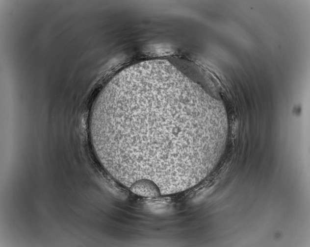 X0000098020373200804181208
