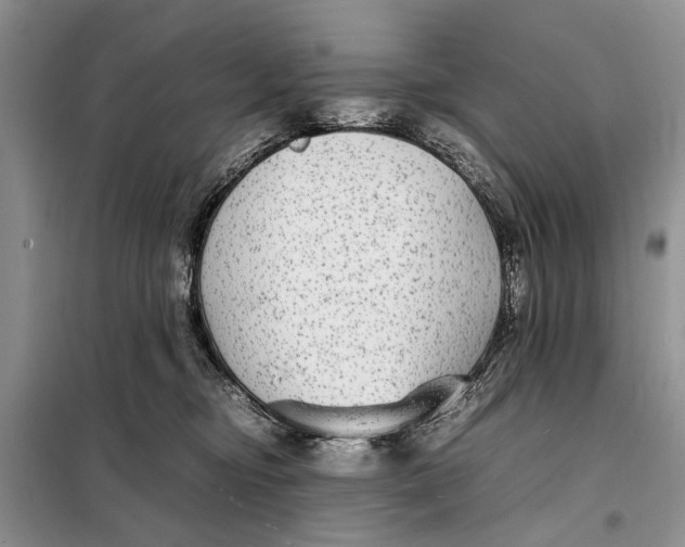 X0000098020374200804181208