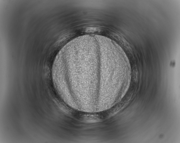 X0000098020375200804181208